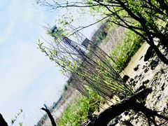 -吴淞炮台湾湿地森林公园烧烤区