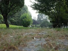 -晋祠宾馆