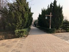-洛阳市隋唐城遗址植物园