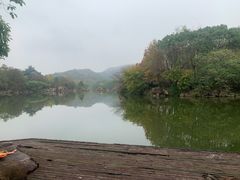 -白马涧龙池景区