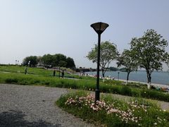 -贡湖湾湿地公园