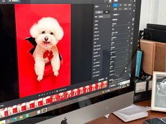 -爪吧宠物乐园 (温榆河示范区店)