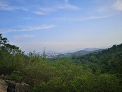 -白水寺森林公园