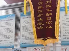 -美美宠物诊疗中心·异宠·骨科(滨江东信分院)