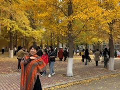 -辽宁大学(崇山校区)