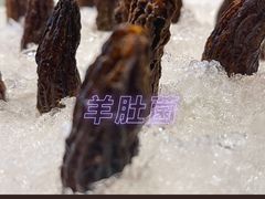 -江海肥牛(桃园南路店)