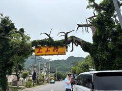 -上王村王家三合院农家乐