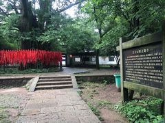 -西湖风景区十里琅珰-五云山