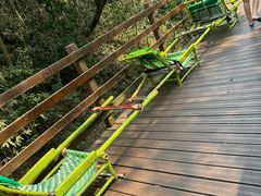 -野象谷景区