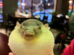 -永安鱼庄·镇江菜(东吴路店)