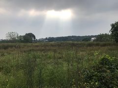 -桃花岭景区