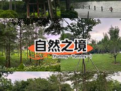 -雀儿山公园