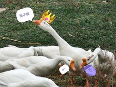 -良渚古城遗址公园