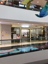 -CICI纤美·科技减肥美容