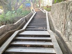 -梧桐山风景名胜区