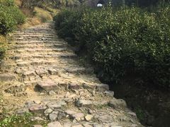 -仙霞关景区