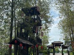 -合肥滨湖国家森林公园