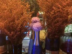 -虹汐诺雅·养生SPA·汤泉足道(胜利路店)