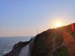-广东惠东海龟国家级自然保护区