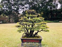-申粤轩酒楼·三十年粤菜经典(丁香花园店)