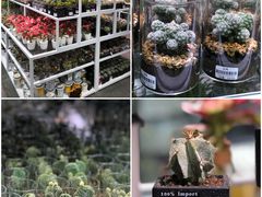 -KKV(深圳宏发大仟里店)