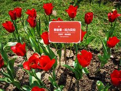 -海心沙亚运公园