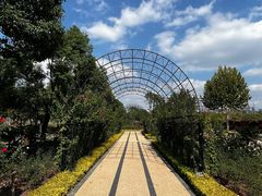 -上海山野camping·户外天幕烧烤·团建拓展营地
