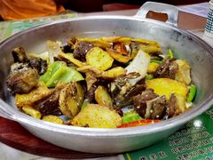 -尕胡才炕锅烤羊肉馆(八一路店)