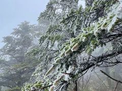 -峨眉山风景名胜区