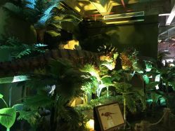 点击看大图 -恐龙探索乐园(磁器口店)