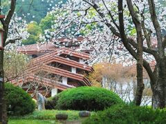 -中国茶叶博物馆(双峰馆区)