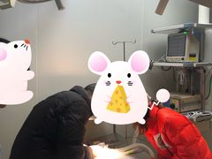 -瑞鹏瑞爱宠物医院·全科·猫科·血液透析中心(龙头寺店)