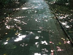 -台湾最南点
