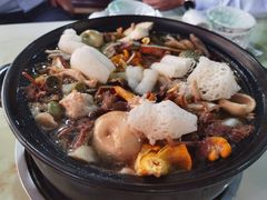 -七采菌园·野生菌石锅鱼(环城北路店)
