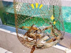 -嘻虾·钓虾工场(东莞总店)