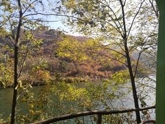 -大连天门山国家森林公园