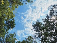 -广州白江湖森林公园