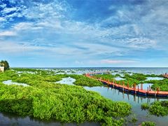 -北海金海湾红树林生态旅游区