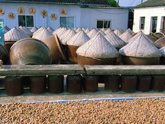 -苏州市吴中区光福窑上花果蜜饯厂