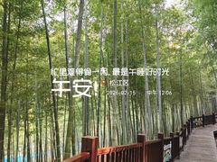 -上海佘山世茂艾美酒店