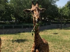 -石家庄市动物园