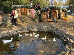 -HERRE·FARM 赫尔露营农场·团建聚会包场