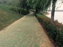 -羊山湖公园