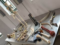 -清风小镇闯关东影视基地
