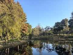 -长广溪湿地公园