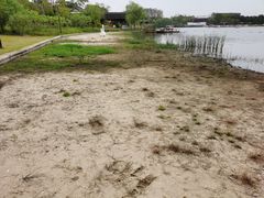 -杭州湾海上花田景区