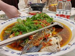 -旭龙鱼头王(航华店)