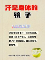 -Fundi张玉珊修身堂·indiba·BTL科技瘦身