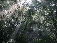 -牛背梁国家森林公园