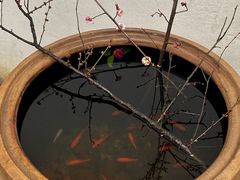 -无锡梅园公园